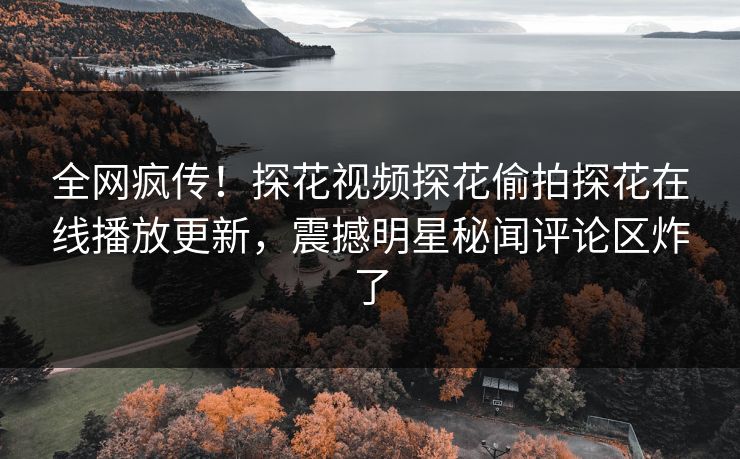 全网疯传！探花视频探花偷拍探花在线播放更新，震撼明星秘闻评论区炸了  第1张