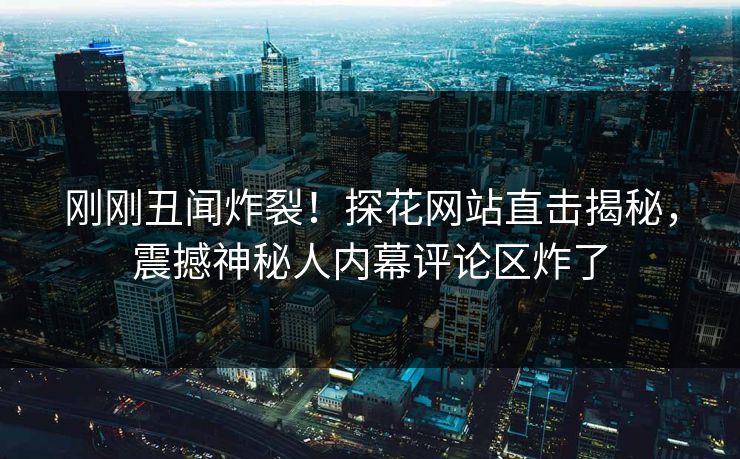 刚刚丑闻炸裂！探花网站直击揭秘，震撼神秘人内幕评论区炸了  第1张