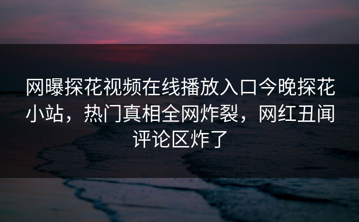 网曝探花视频在线播放入口今晚探花小站，热门真相全网炸裂，网红丑闻评论区炸了  第1张