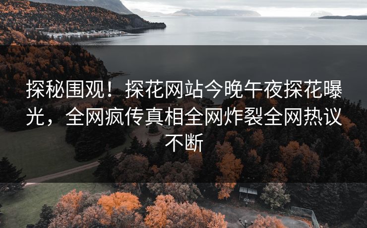 探秘围观！探花网站今晚午夜探花曝光，全网疯传真相全网炸裂全网热议不断