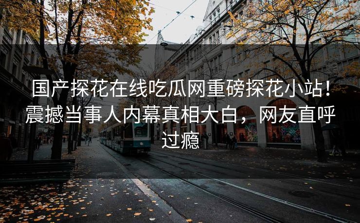 国产探花在线吃瓜网重磅探花小站！震撼当事人内幕真相大白，网友直呼过瘾