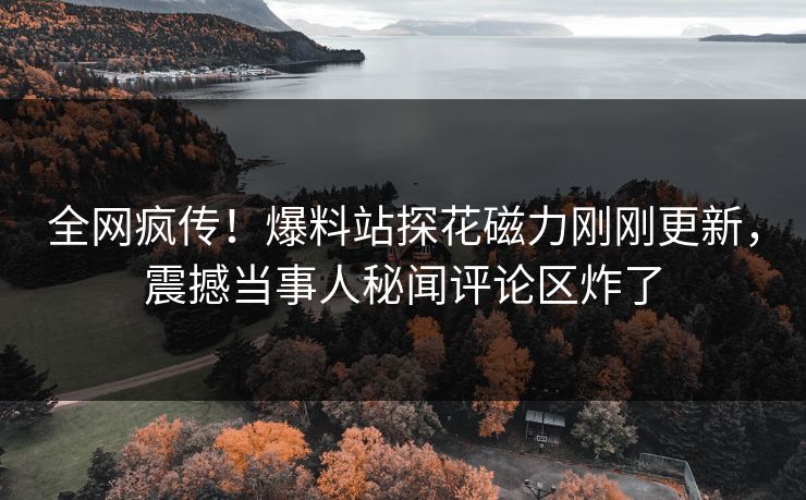 全网疯传！爆料站探花磁力刚刚更新，震撼当事人秘闻评论区炸了