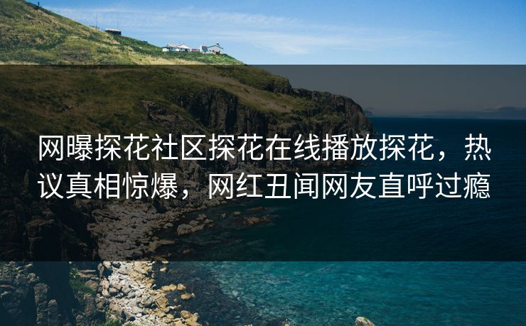网曝探花社区探花在线播放探花，热议真相惊爆，网红丑闻网友直呼过瘾