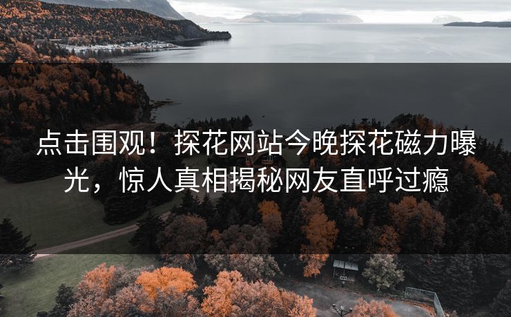 点击围观！探花网站今晚探花磁力曝光，惊人真相揭秘网友直呼过瘾