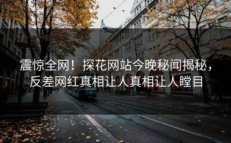 震惊全网！探花网站今晚秘闻揭秘，反差网红真相让人真相让人瞠目  第1张