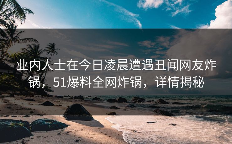 业内人士在今日凌晨遭遇丑闻网友炸锅，51爆料全网炸锅，详情揭秘