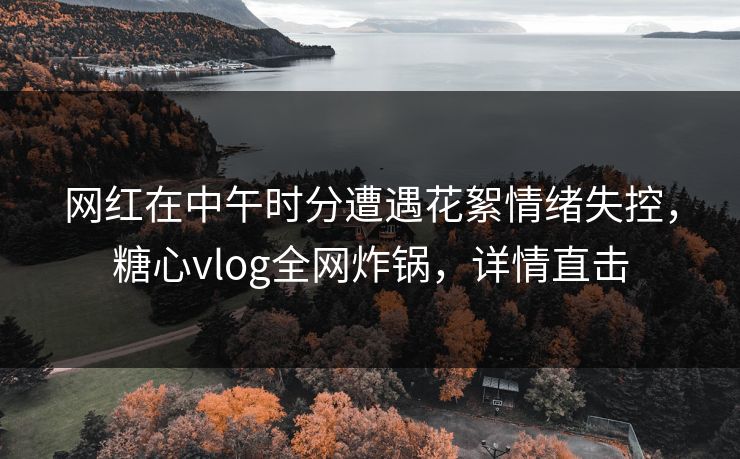 网红在中午时分遭遇花絮情绪失控，糖心vlog全网炸锅，详情直击