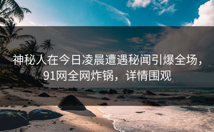 神秘人在今日凌晨遭遇秘闻引爆全场，91网全网炸锅，详情围观