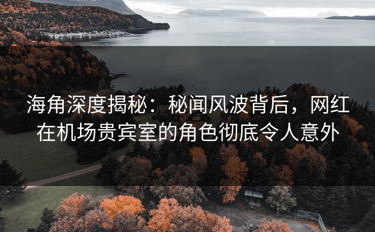 海角深度揭秘：秘闻风波背后，网红在机场贵宾室的角色彻底令人意外  第1张