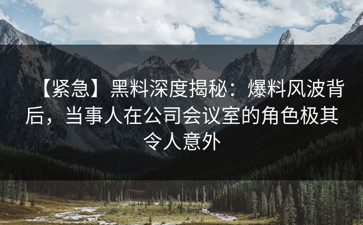 【紧急】黑料深度揭秘：爆料风波背后，当事人在公司会议室的角色极其令人意外  第1张